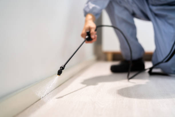 Licensed Fumigation Services service in Brownsville, TX - Nex Pest Control