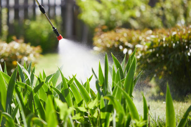 24/7 Emergency Fumigation Services experts in Brownsville, TX
