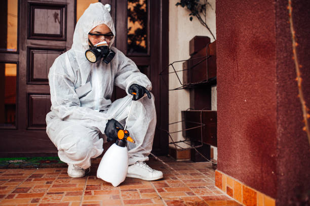 Reliable Fumigation Services contractor in Brownsville, TX by Nex Pest Control