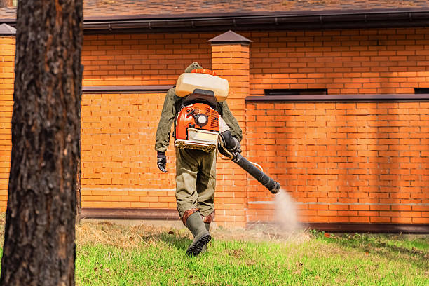 Trusted Bed Bug Control service in Brownsville, TX - Nex Pest Control